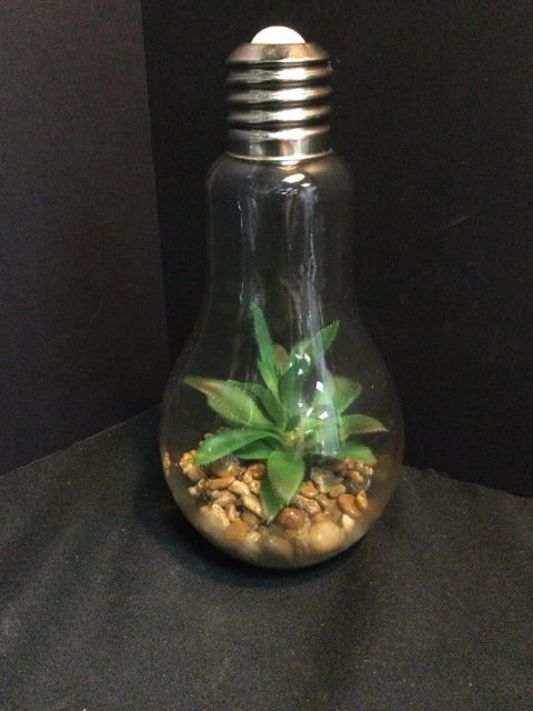 Terrarium