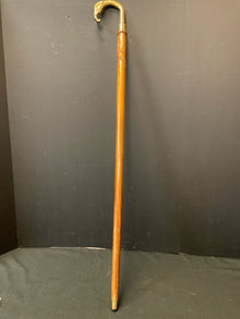  Walking Cane